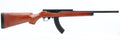 Ace 1 Arms R10/22 Gas Blowback Rifle
