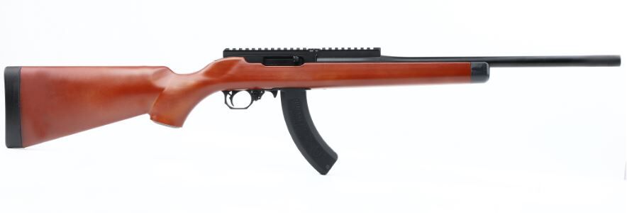 Ace 1 Arms R10/22 Gas Blowback Rifle