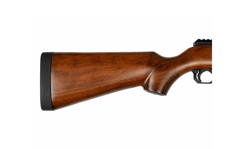 Ace 1 Arms R10/22 Gas Blowback Rifle
