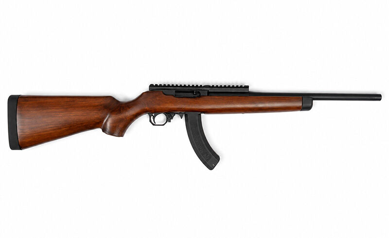 Ace 1 Arms R10/22 Gas Blowback Rifle