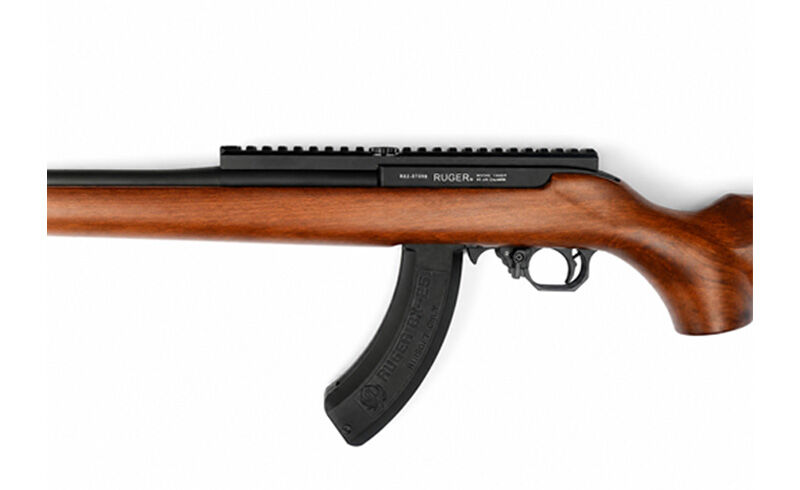Ace 1 Arms R10/22 Gas Blowback Rifle
